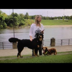 Meet your Posher, Dawn